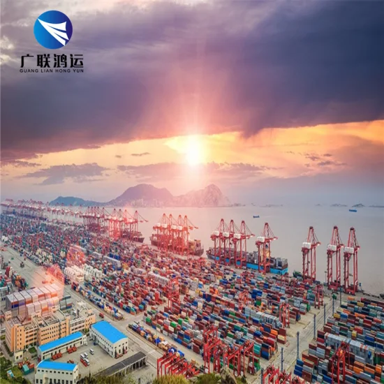 Sea Freight Shipping Forwarder Sea Freight Forwarder Ocean Shipping Transportation