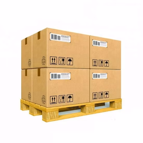 Ocean Logistics Cheapest Sea Freight Express Sea Freight Sea Transport to Vancouver Canada