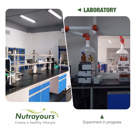 High Density USP/Ep Standard Glutathione Powder, L-Glutathione Reduced Customs Data